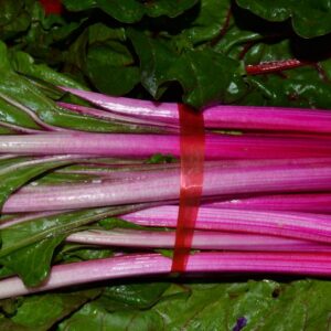 Acelga Rosa