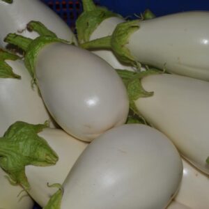 Berenjena Blanca