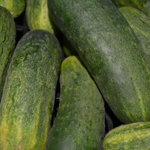 Pepinos