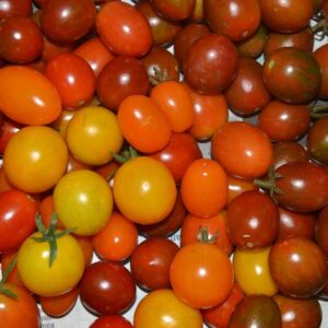 Hortalizas de fruto