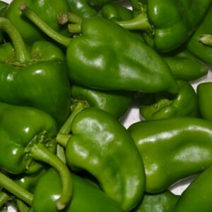 Pimiento Piquillo