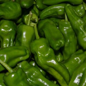 Pimiento Padrón dulce