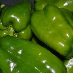 Pimiento Verde