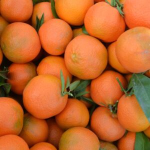 Caja Hernandina 15 Kg