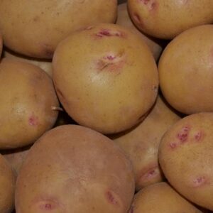 Caja Patata Picasso 10 Kg