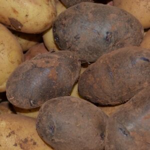 Caja Patatas Variadas 7 Kg