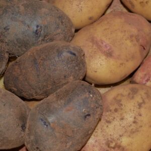 Caja Patatas Variadas 10 Kg
