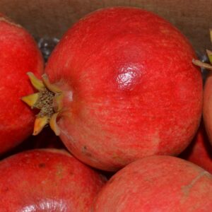 Caja Granadas Wonderful 6 Kg