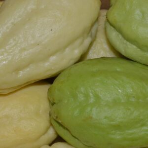 Caja Chayote 6 Kg