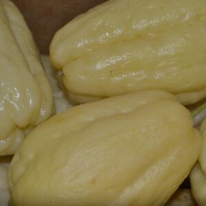 Chayote