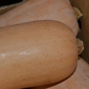 Caja Calabaza Cacahuete 5 Kg